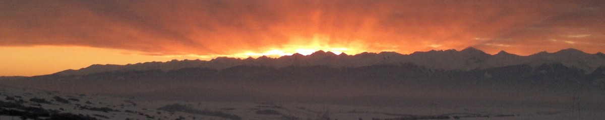 cropped-2012-12-14-256